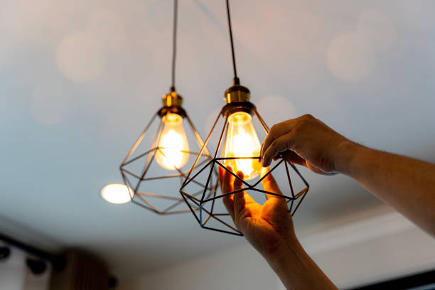Best Local Electrician Companies  in Montrose, MN