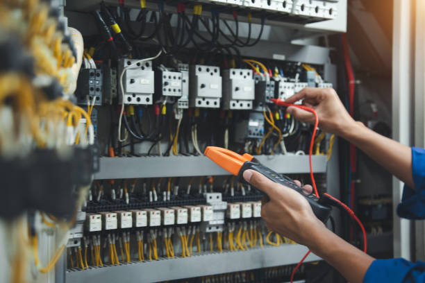 Best Electrical Repair Services  in Montrose, MN
