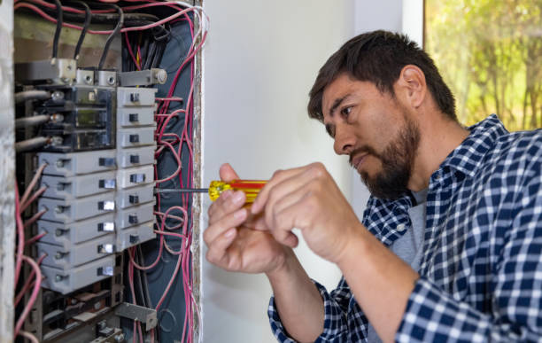 Best Electrician for Home Renovation  in Montrose, MN